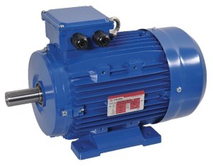 Silnik elektryczny 3 kW EM100L2B3300IE3AKR